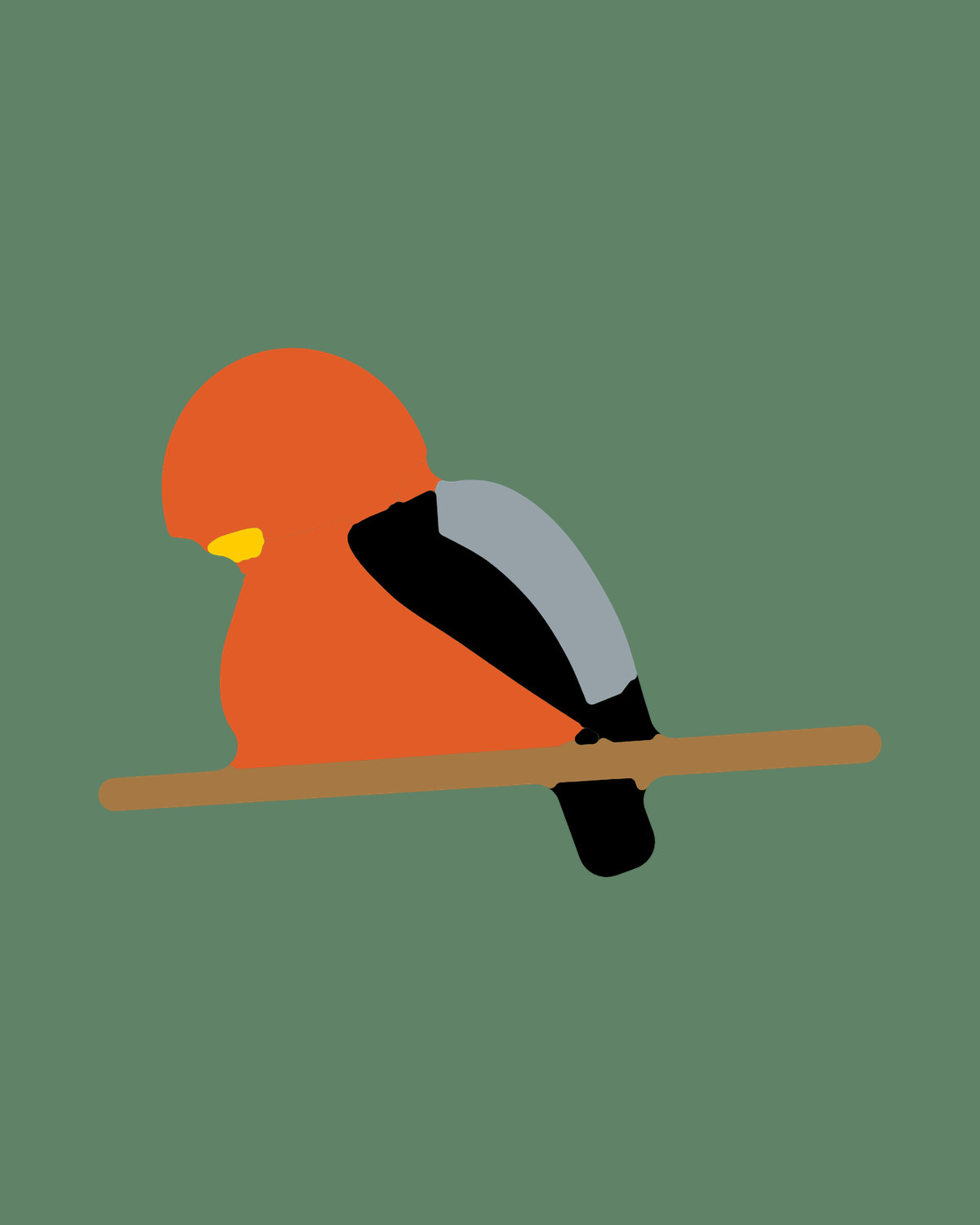 Andean Cock-of-the-rock