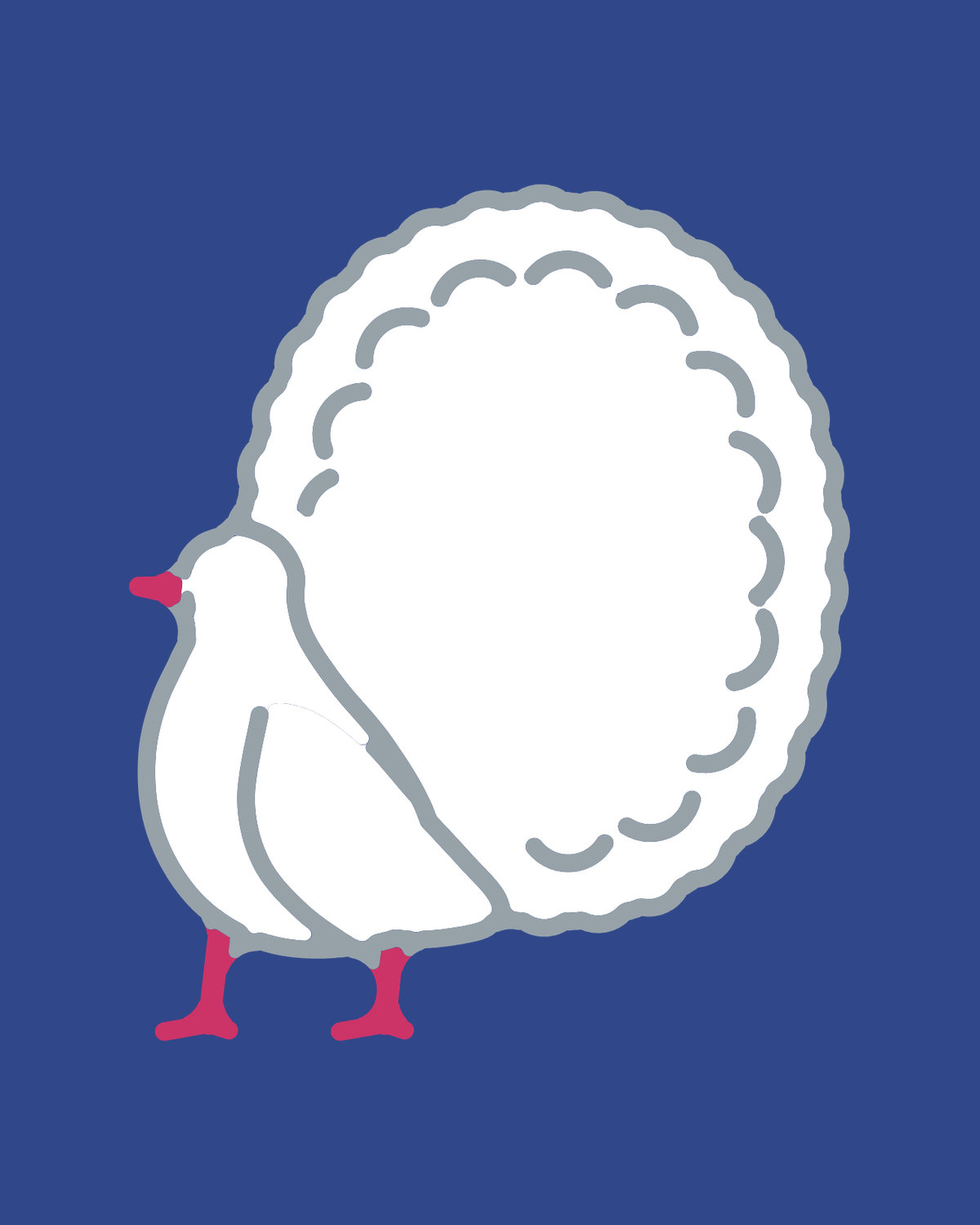 Fantail Pigeon