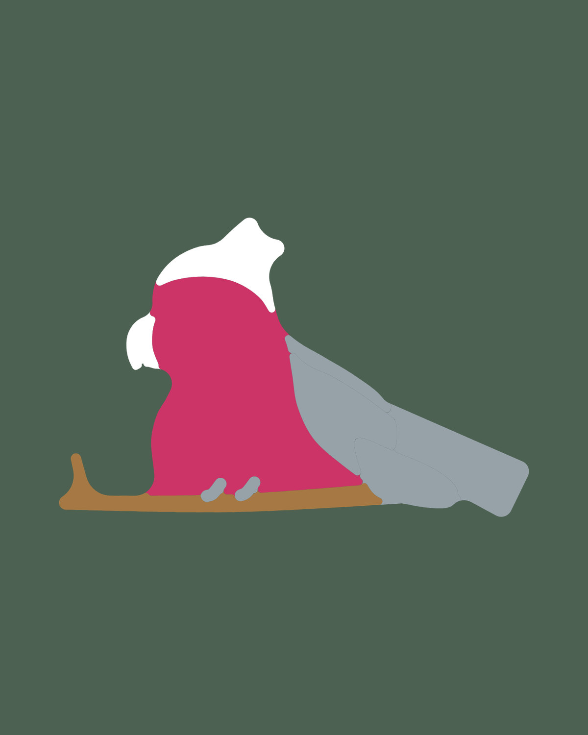 Galah