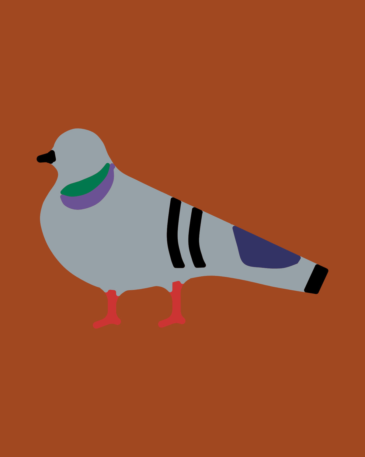 Homing Pigeon