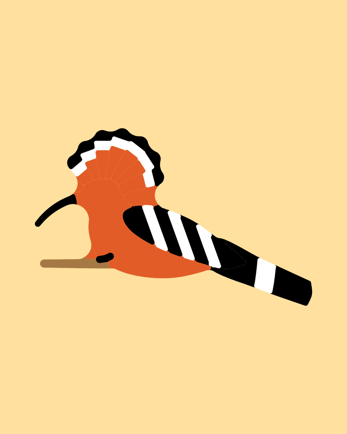 Hoopoe