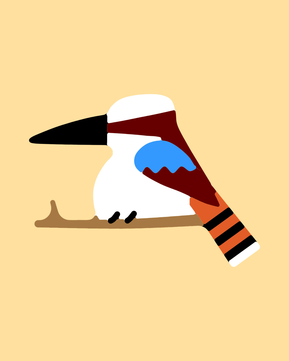 Laughing Kookaburra