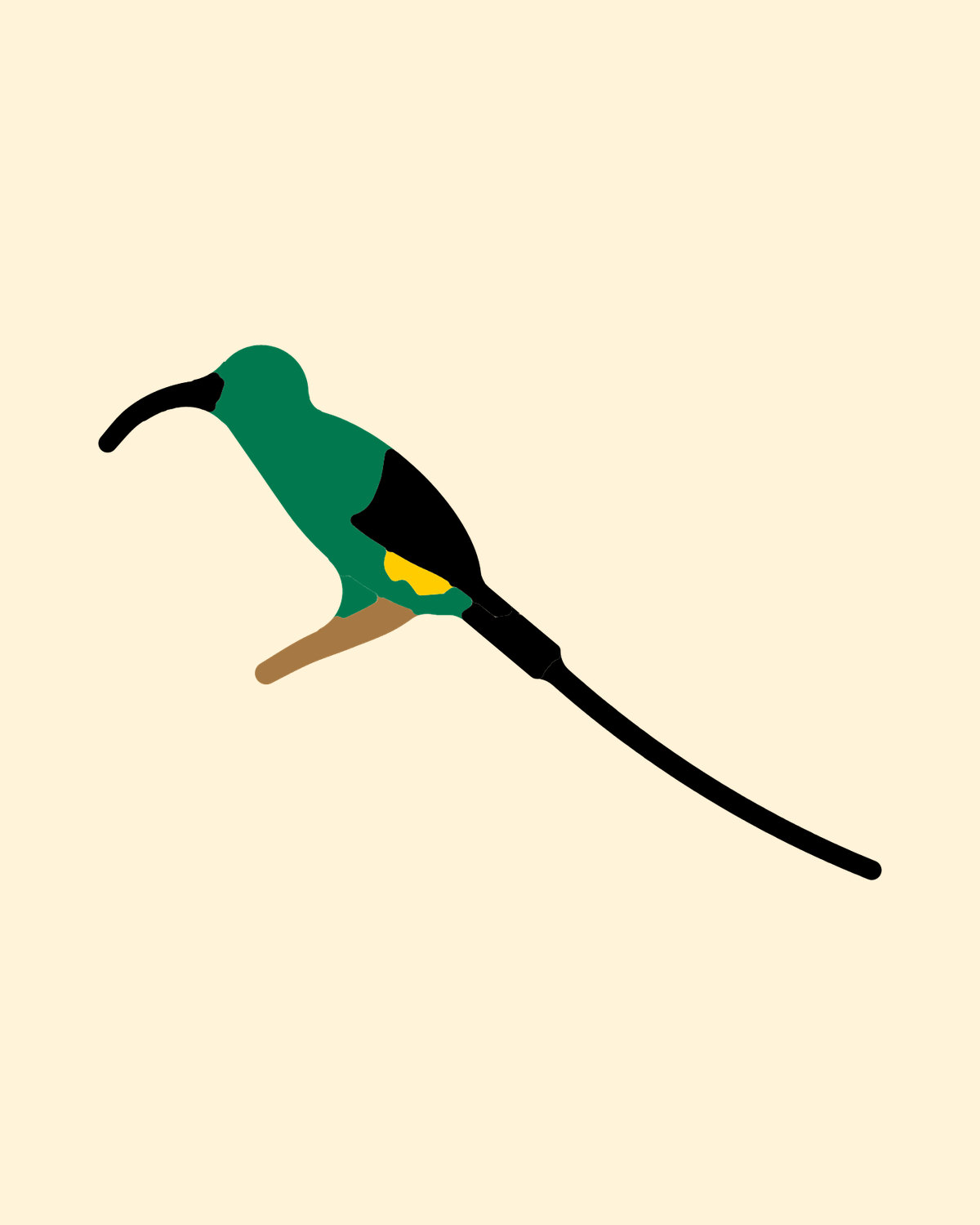 Malachite Sunbird