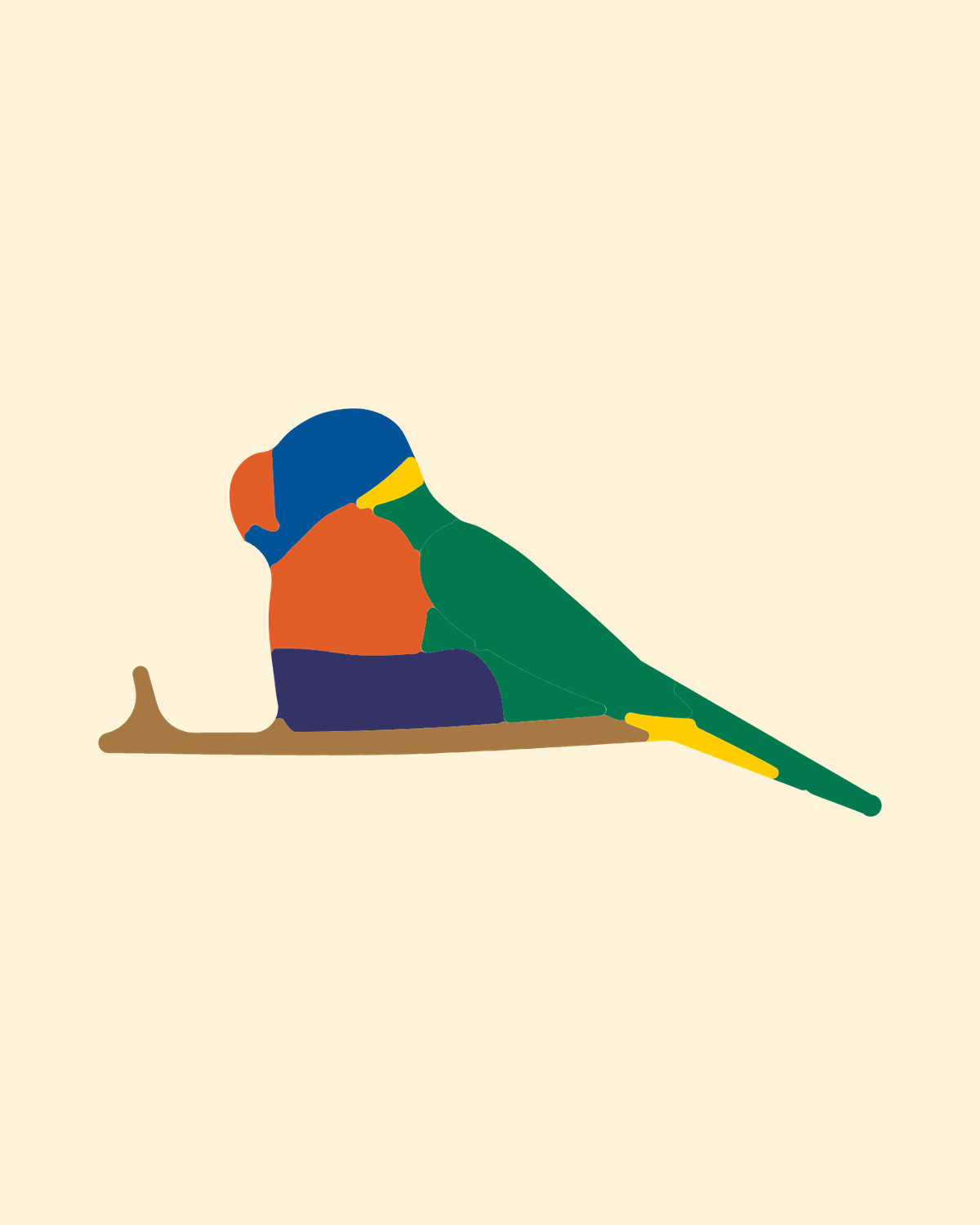 Rainbow Lorikeet