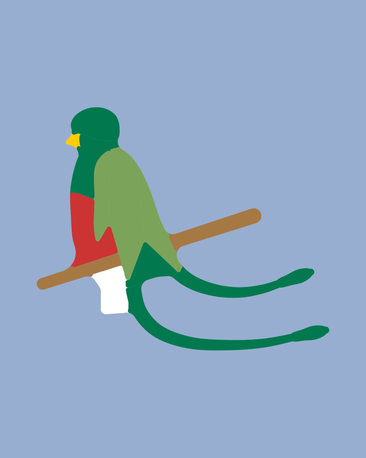 Resplendent Quetzal