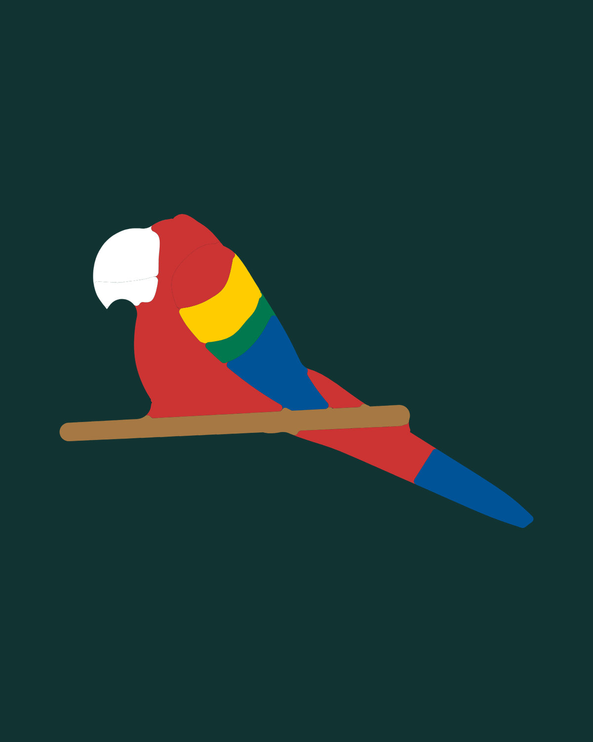 Scarlet Macaw
