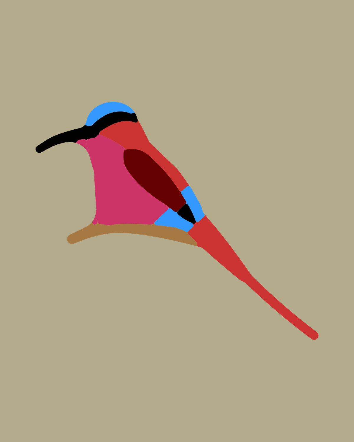 Southern Carmine Bee-eater