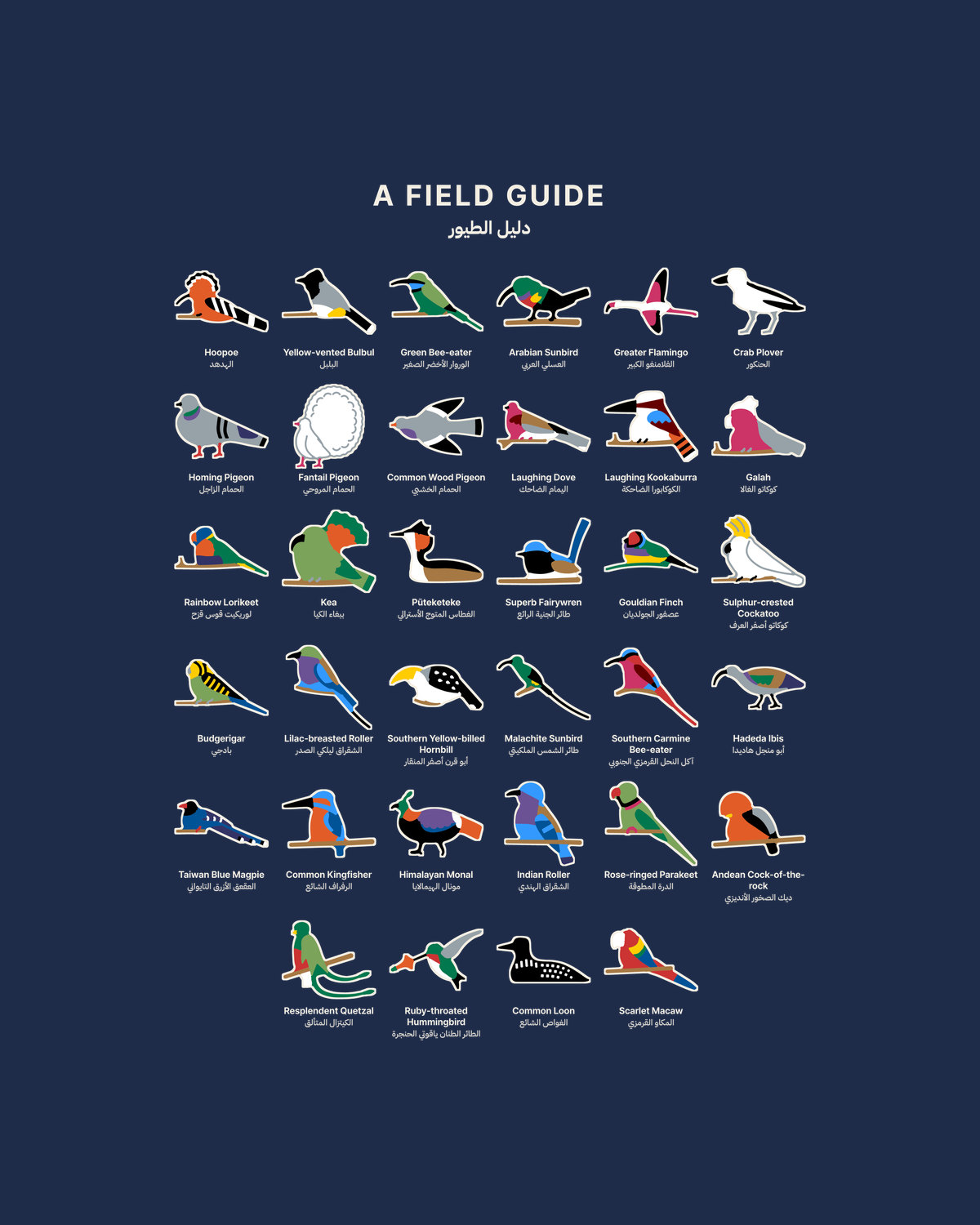 The Field Guide