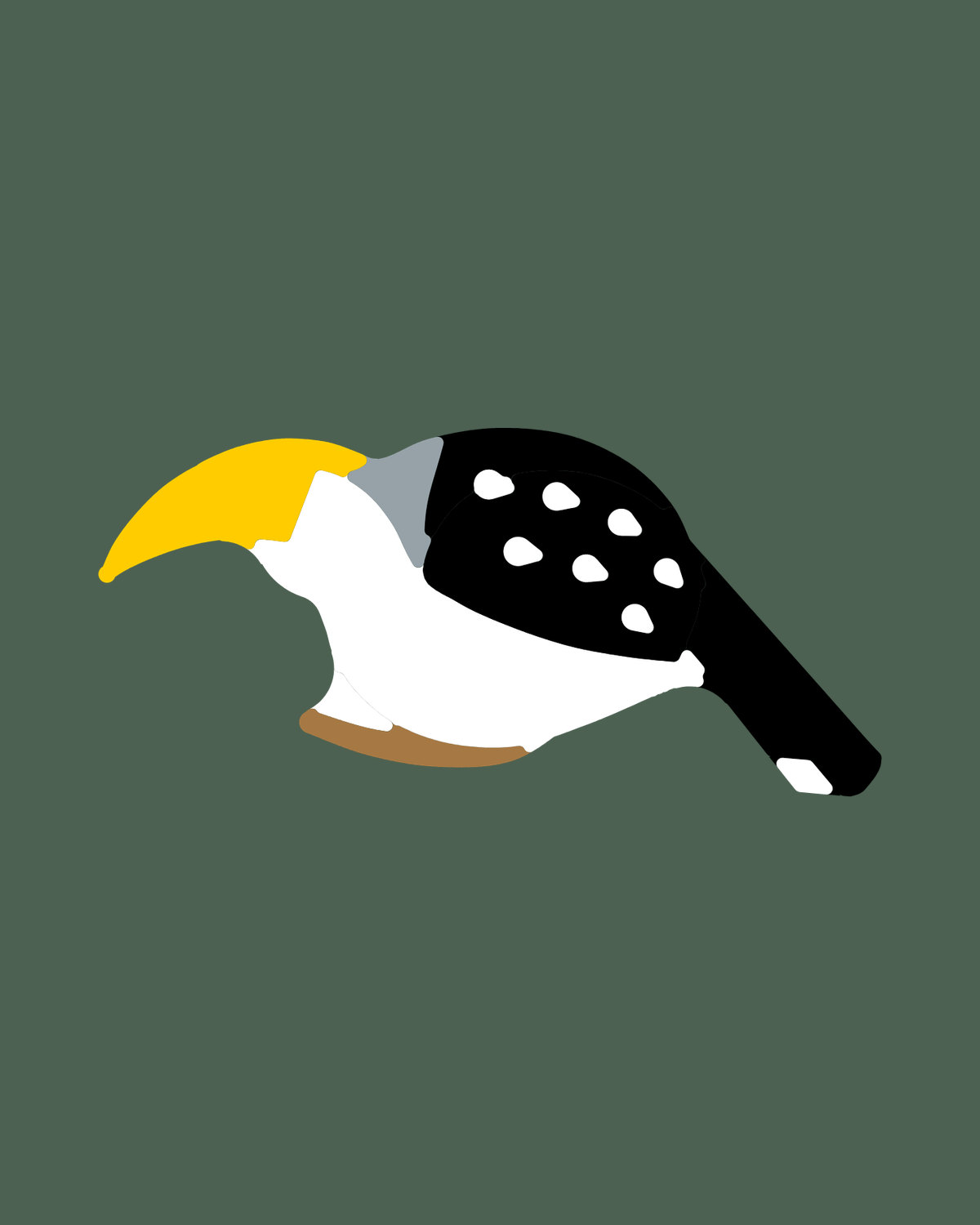 Southern Yellow-billed Hornbill