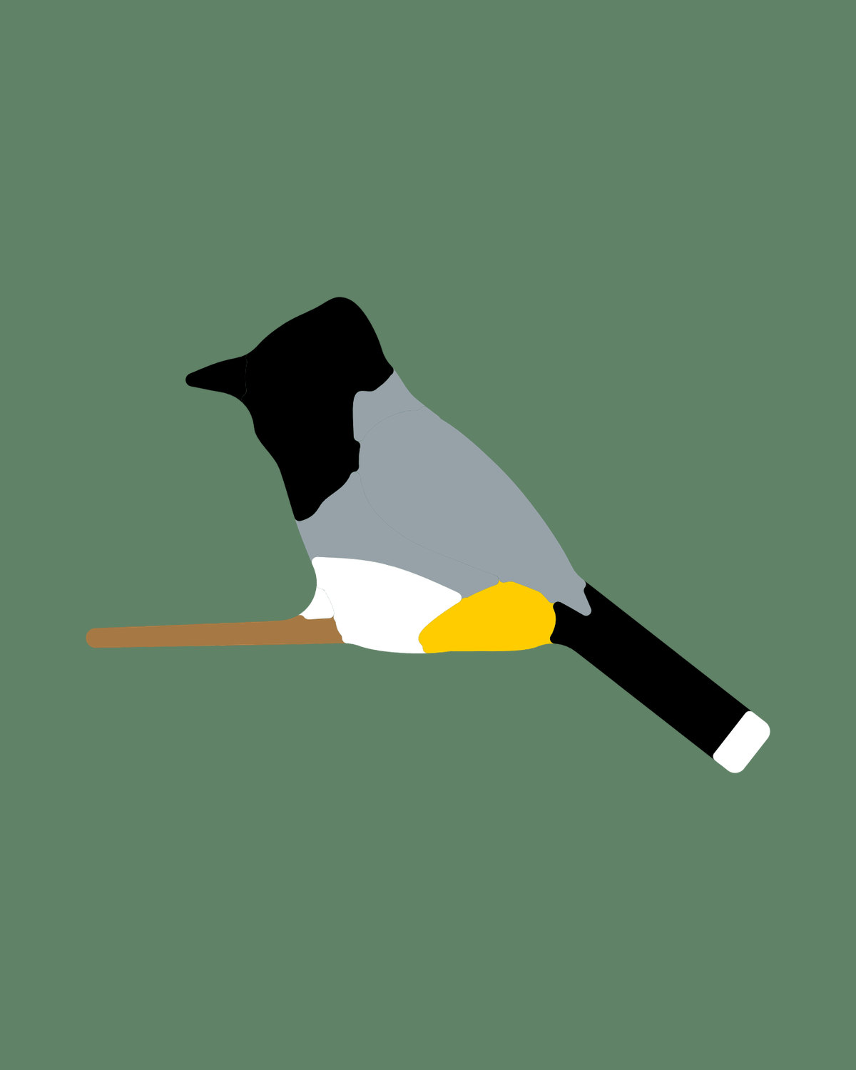 Yellow-vented Bulbul